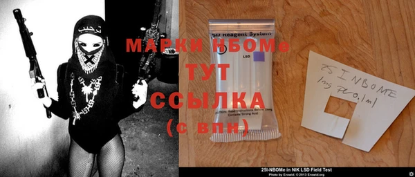 прущие грибы Абинск