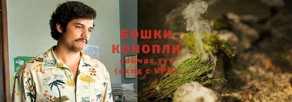 сатива Абдулино