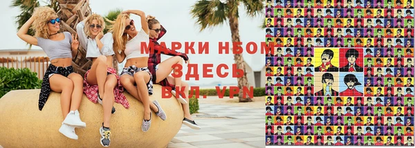прущие грибы Абинск