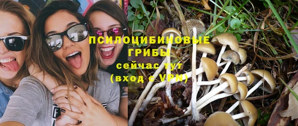 СК Абаза
