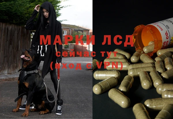 COCAINE Алзамай