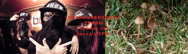 сатива Абдулино