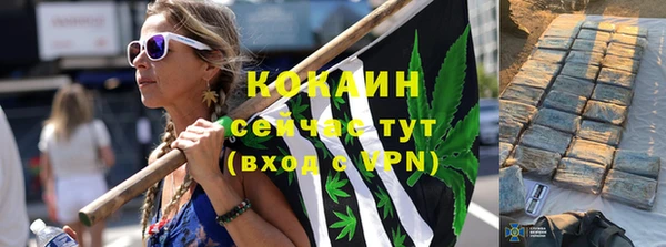 прущие грибы Абинск