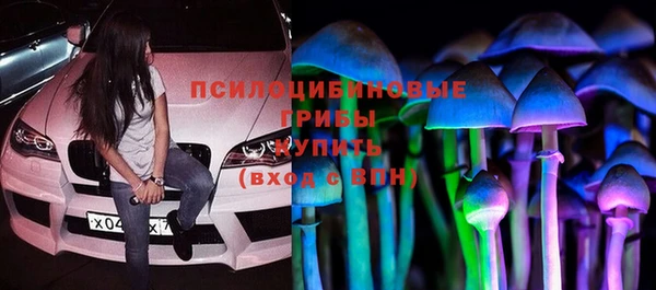 СК Абаза