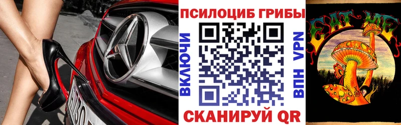 даркнет сайт  Болотное  Псилоцибиновые грибы Psilocybe 