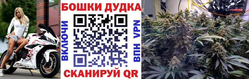 цена наркотик Болотное Каннабис SATIVA & INDICA